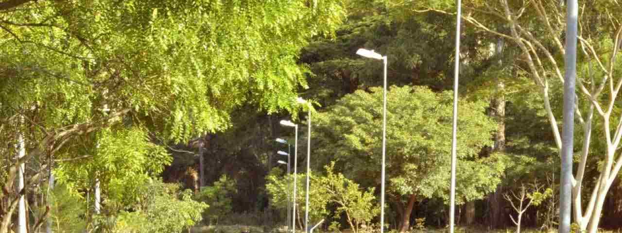 bairro jardim botânico em araraquara